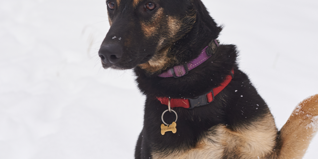 Трепетное ожидание: история Аси, которая верит в чудо