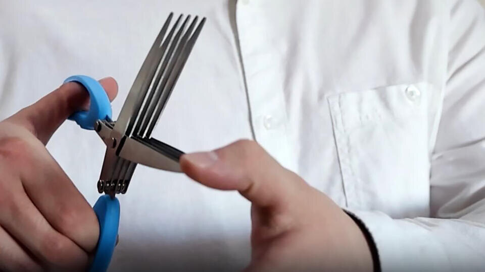 Фото: © Кадр из программы "Знаете ли вы, что", РЕН ТВ