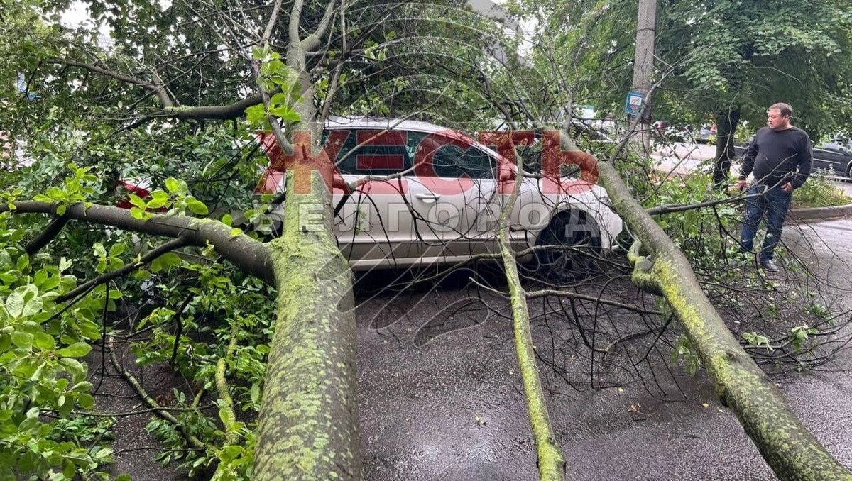     Источник: «Жесть Белгород»