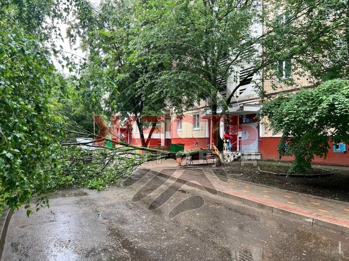     Источник: «Жесть Белгород»