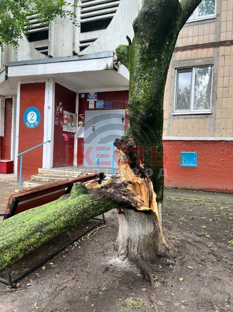     Источник: "Жесть Белгород"