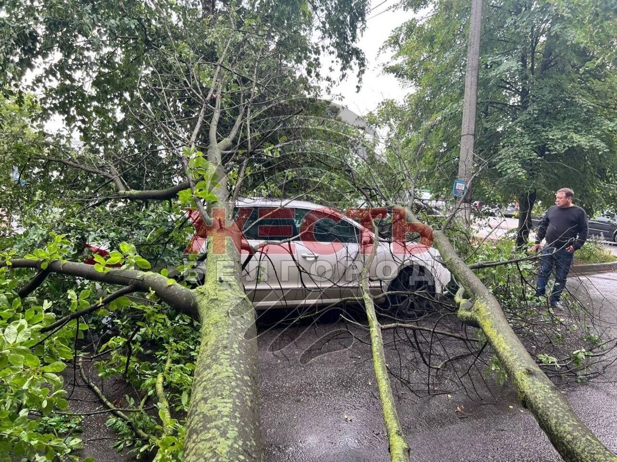    Источник: «Жесть Белгород»