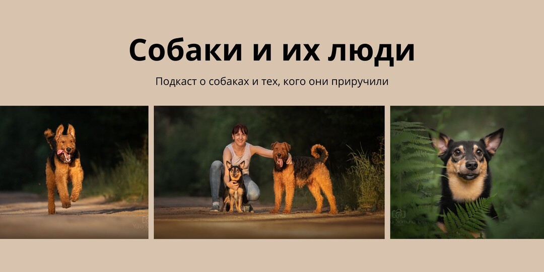 Подкаст «Собаки и их люди», сезон 2, выпуск 1. Тревожная собака и тревожный владелец: что делать