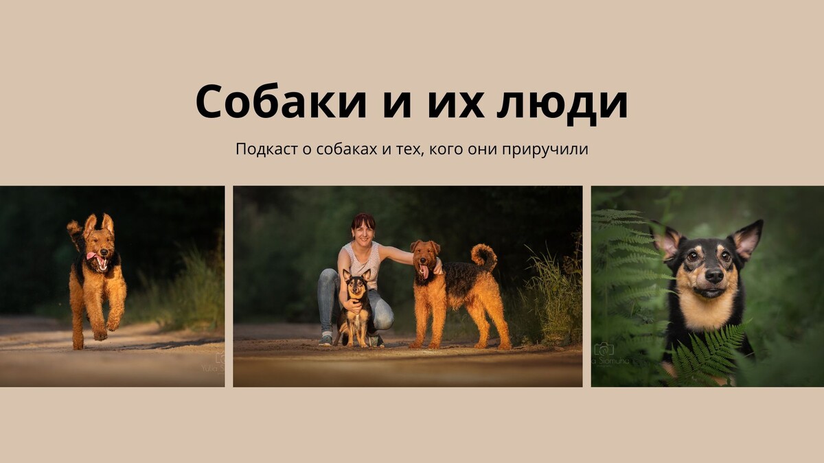 Тревожная собака и тревожный владелец: что делать; подкаст "Собаки и их люди", сезон 2, выпуск 1