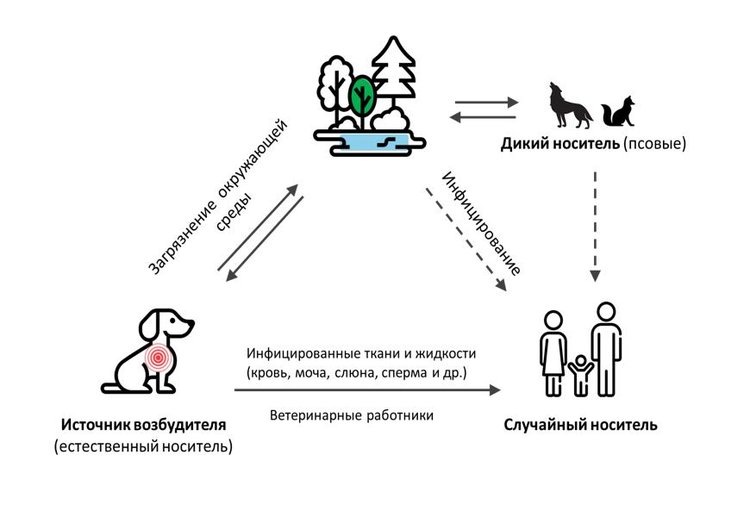    Фото: Федеральный центр охраны здоровья животных