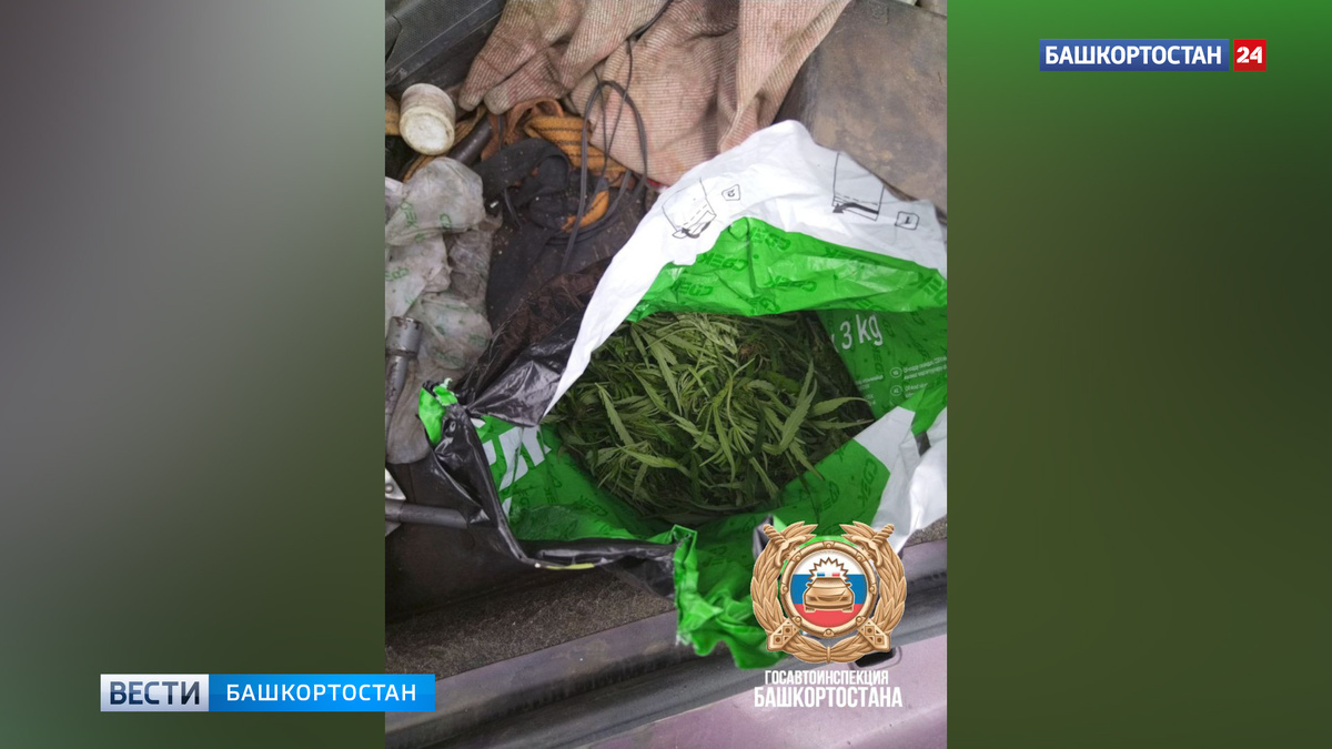    В Башкортостане задержали водителя «десятки» с мешком конопли в багажнике