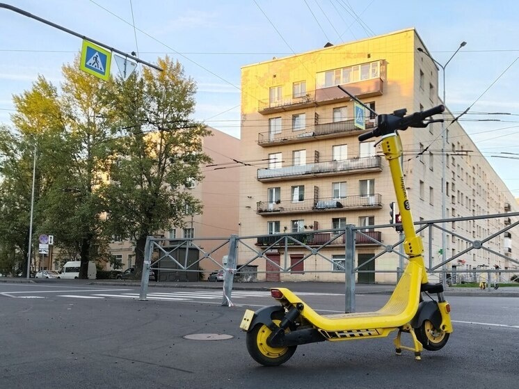     Подсказки уже доступны в 12 городах России, включая Москву и Северную столицу. фото: архив мк в питере