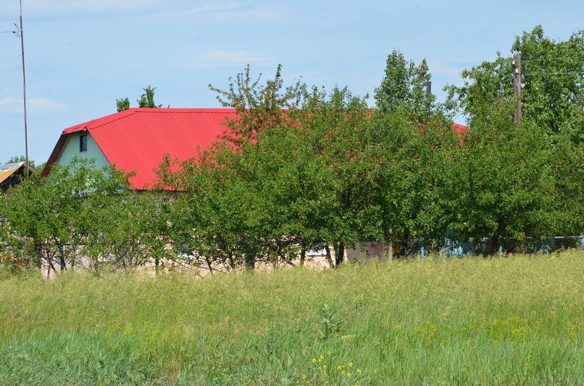 Единственный жилой дом в Падворских Выселках.