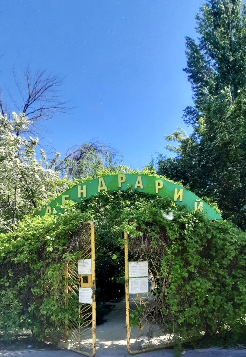 Дендрарий. Фото автора 