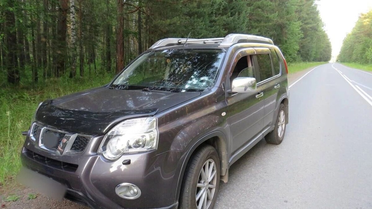     Источник: t.me/krksledkom