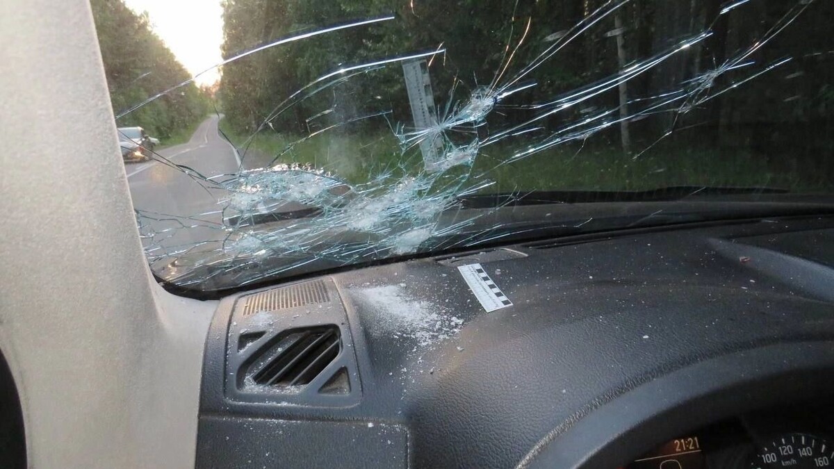     Источник: t.me/krksledkom