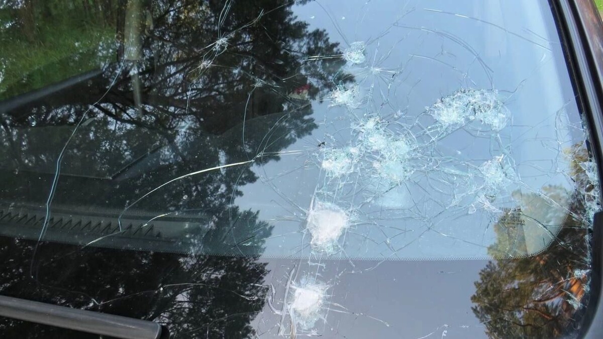     Источник: t.me/krksledkom