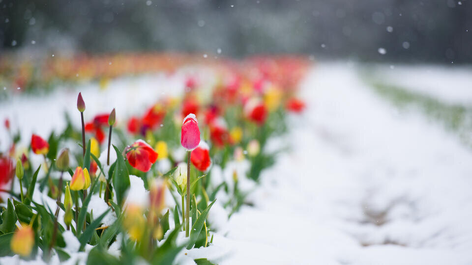 Фото: © www.globallookpress.com/Florian Eckl/dpa