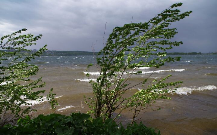    Фото: Андрей Недоступ