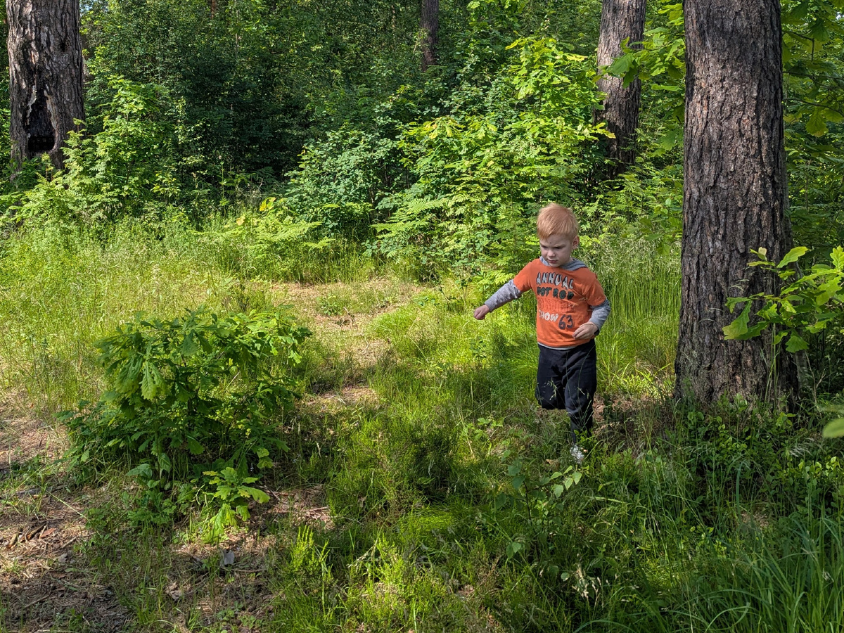 Сделал дело - возвращайся из кустов смело