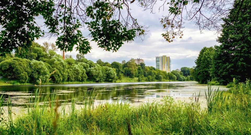    Парк Дубрава в Подольске / Медиабанк событий Подмосковья