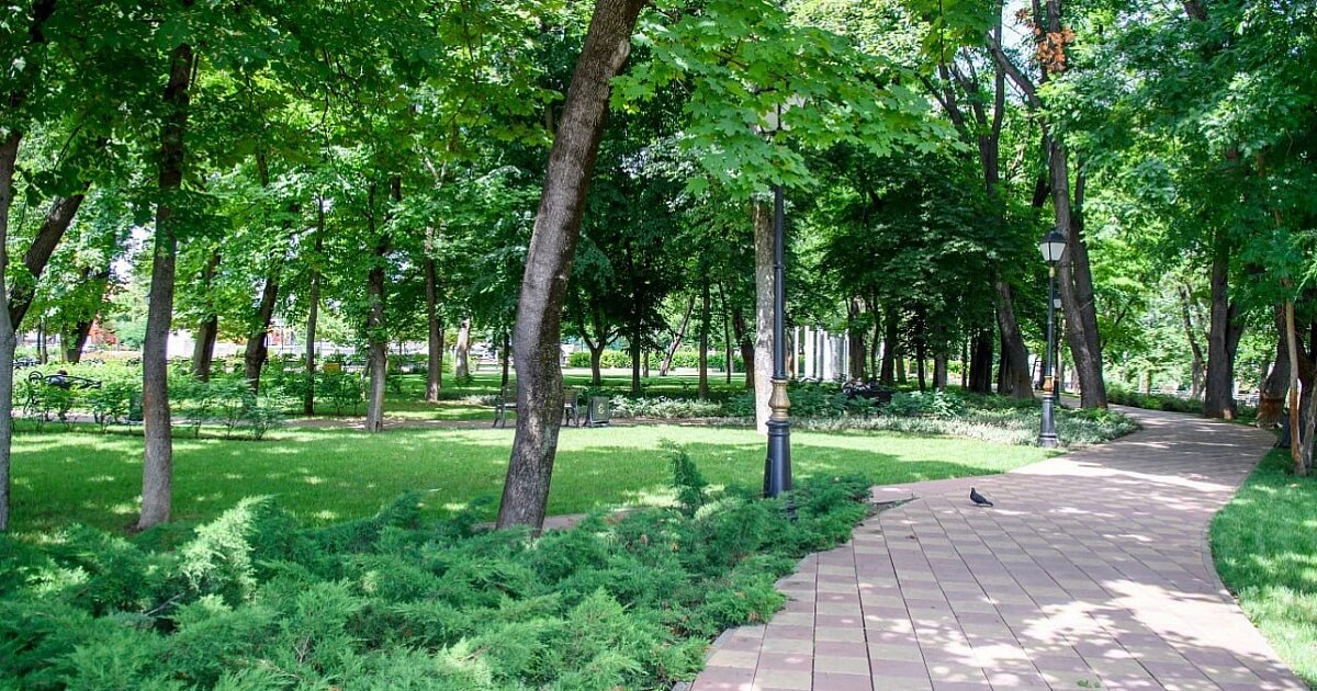 Фото: пресс-служба администрации Краснодара