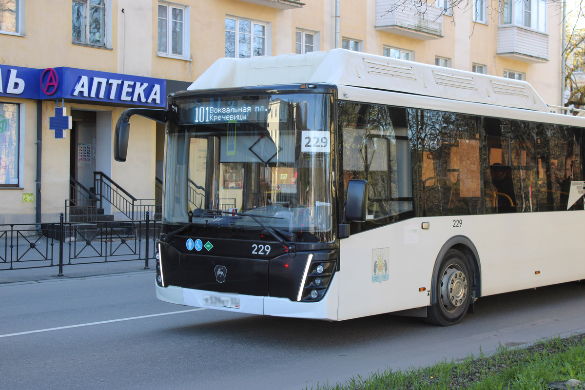 Электробусы могут заменить.  Фото: Фото: ФедералПресс / Ксения Кобалия