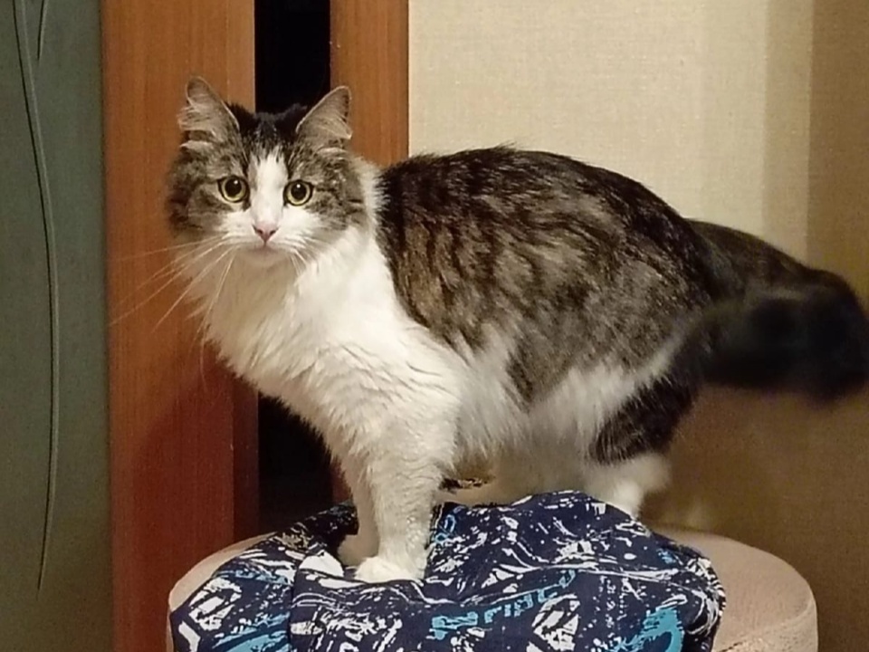     Фото: REGIONS/Наталия Надточая