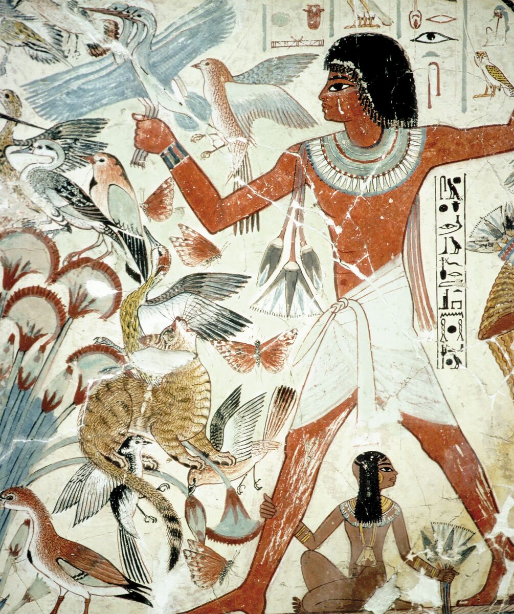 Гробница писца и счетовода зерна Небамуна, жившего около 1400 года до н. э., украшена великолепными картинами, изображающими сцены из жизни того времени. Здесь он охотится на птиц в зарослях папируса, за ним наблюдают его жена и дочь.