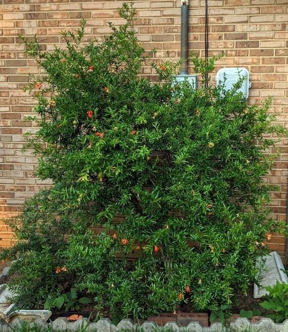 фото: 65c5be9d346dd537e74e4d928c2849b4c940110a.jpg