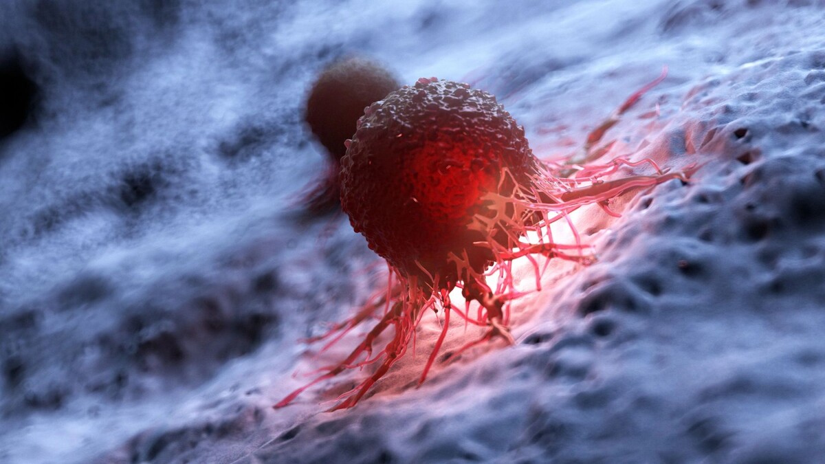    Фото: SciePro/Shutterstock/Fotodom