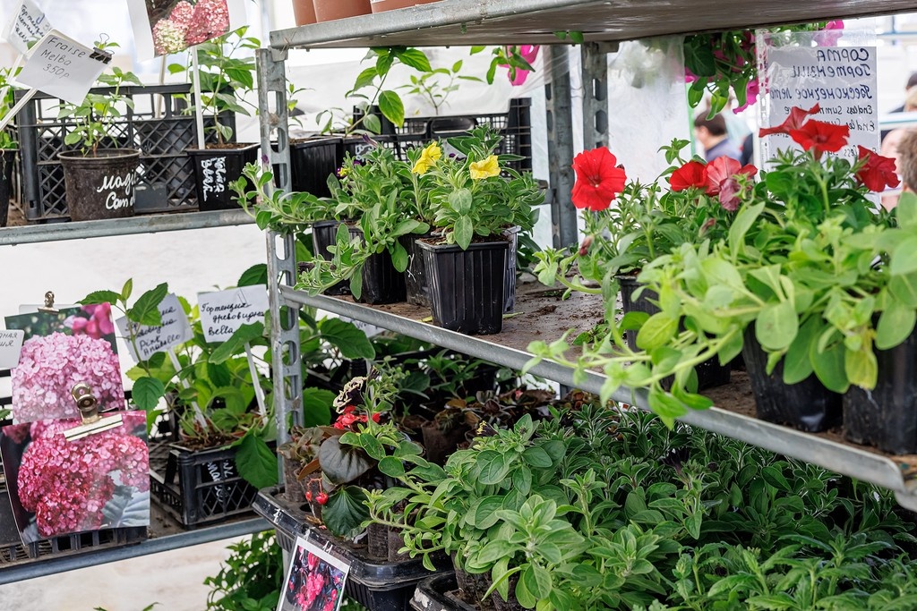    Фото © Дмитрий Дубинский / Абзац