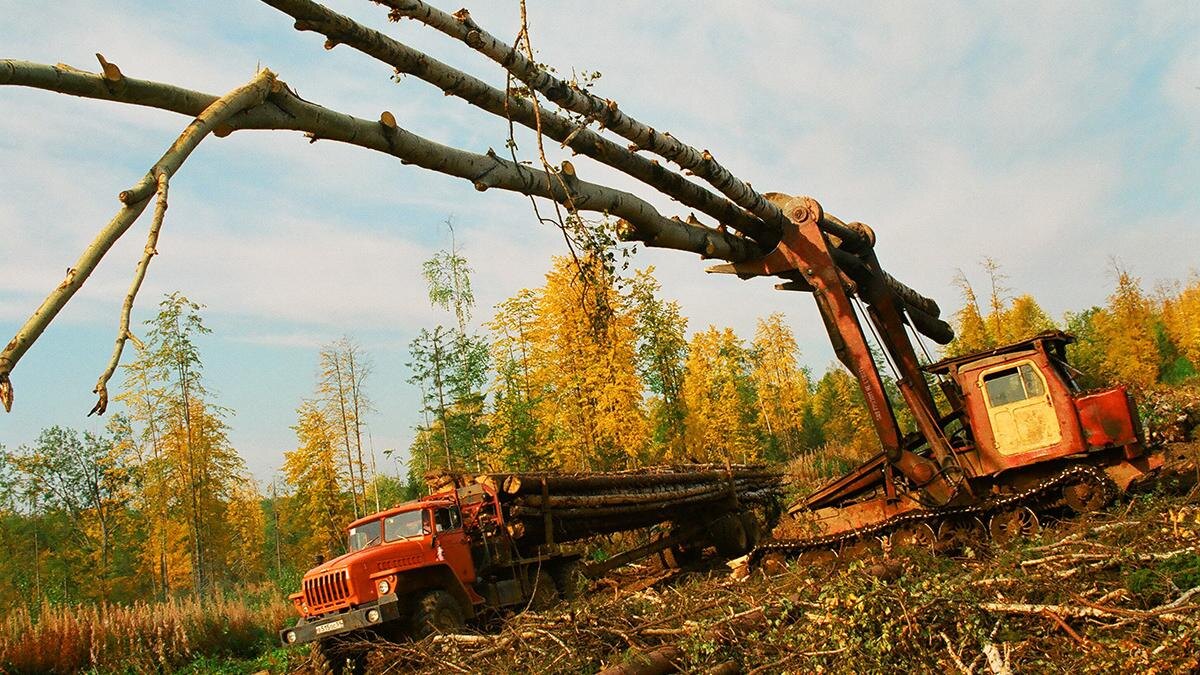    © Сергей Копышко