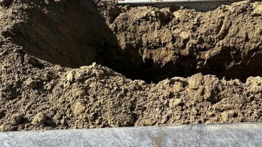    Фото: Laszlo66/Shutterstock/Fotodom