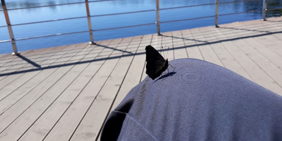 Из жизни женщины в платке. День 10-й (в предвкушении МРТ)