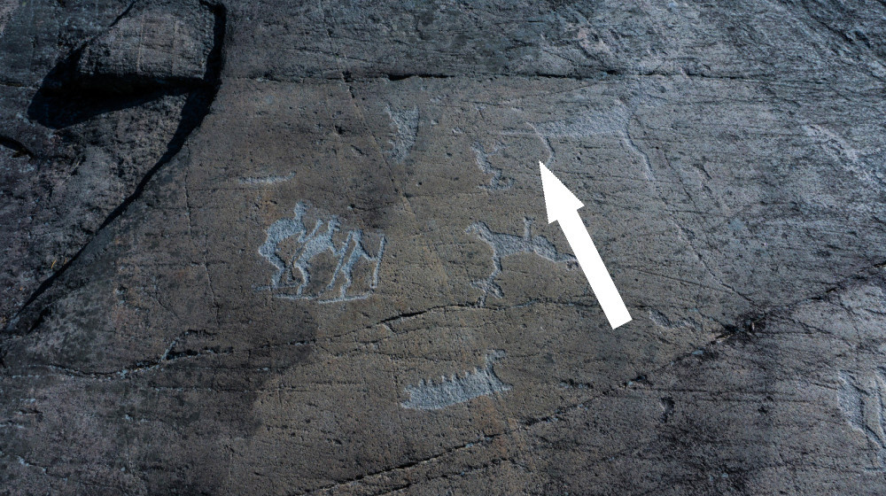    ТАЙНЫ ПЕТРОГЛИФОВ ОНЕЖСКОГО ОЗЕРА И БЕЛОГО МОРЯ РАСКРЫТЫ