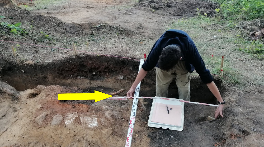    Таинственные болотные жители Белоруси исчезают без следа