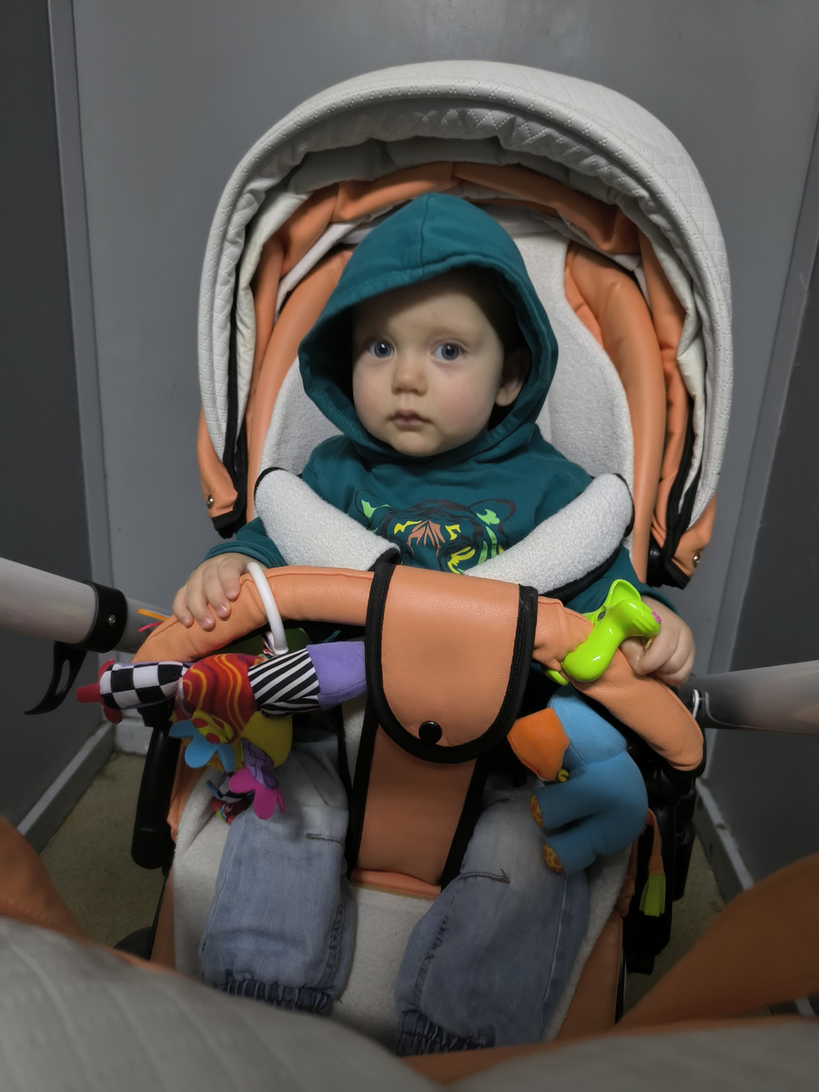 Едем за Мишей, Федя перестал бояться лифтов (дикий загородный человек)