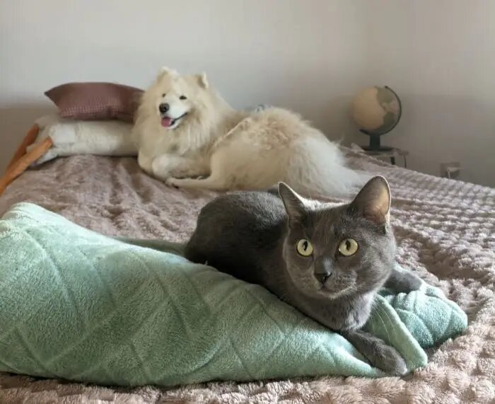     © "Интерфакс". Наталья Пономарева