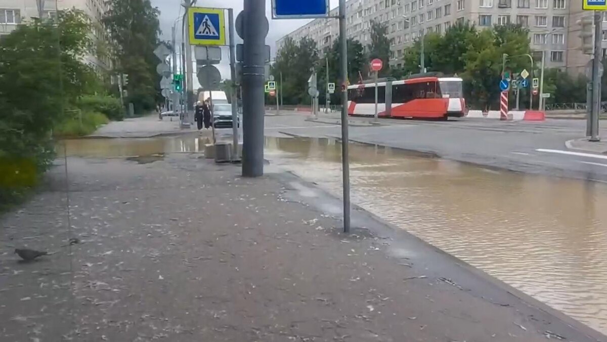    Фото: vk.com/Новости Купчино