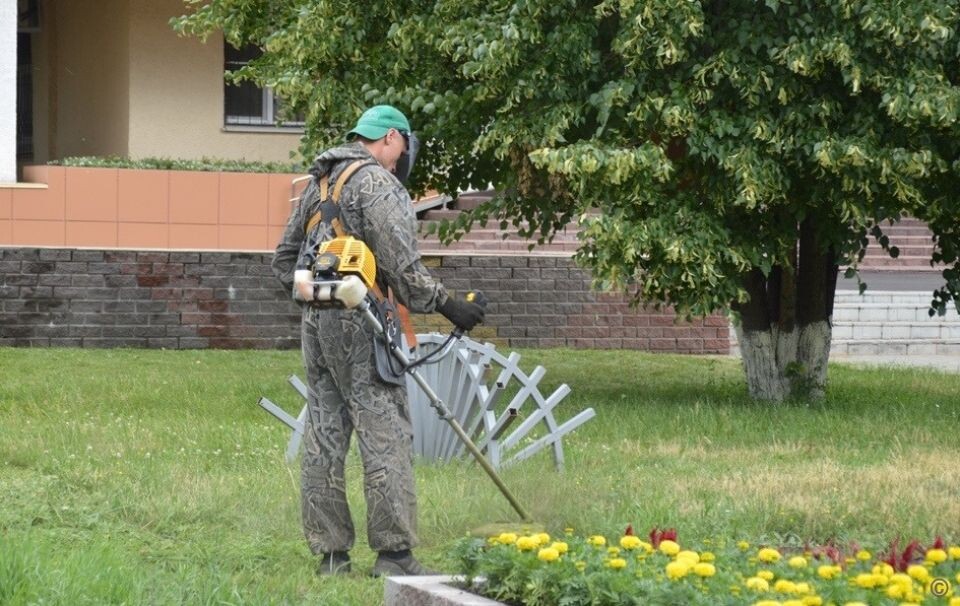    Покос травы в Барнауле. Источник: barnaul.org