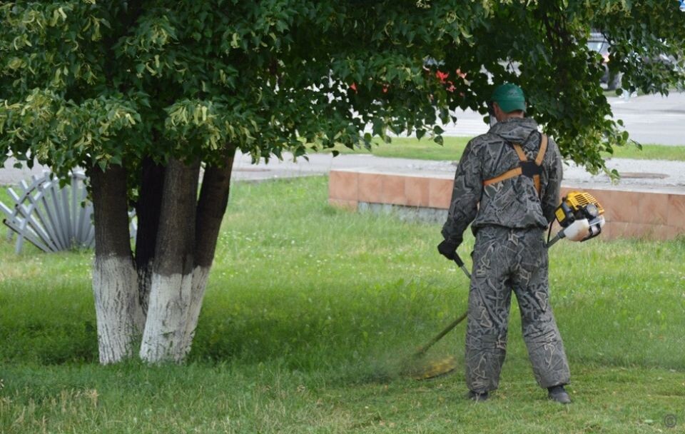   Покос травы в Барнауле. Источник: barnaul.org