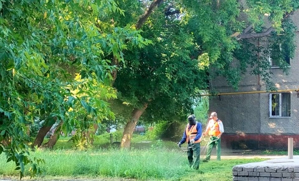    Покос травы в Барнауле. Источник: barnaul.org