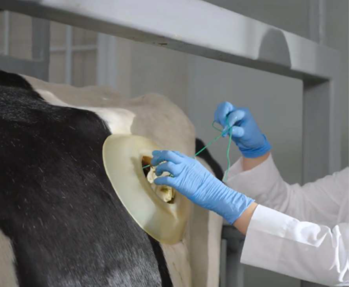 Размещение образца через фистулу