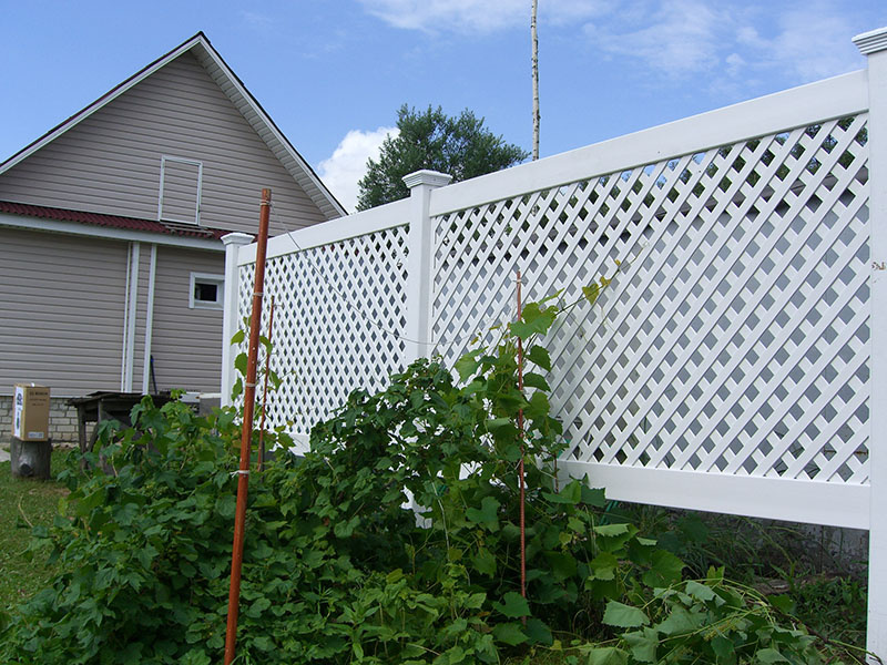 Пластиковая шпалера для винограда