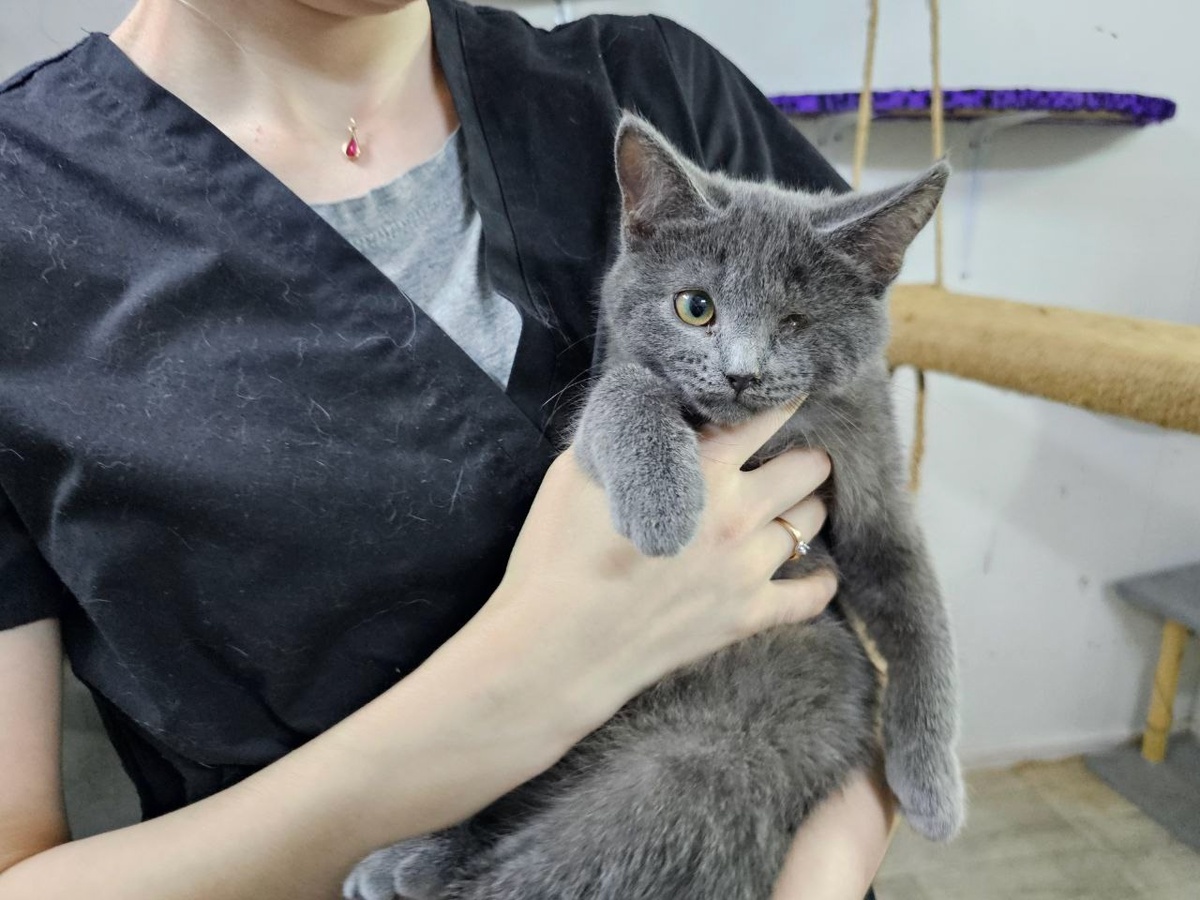 Особенные питомцы мечтают о счастье ничуть не меньше!