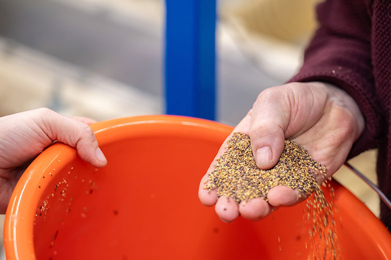    Ruslan Yarocky/Global Look Press