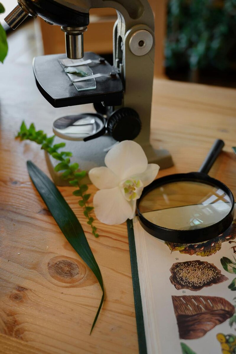 Фотограф: Meri Verbina: https://www.pexels.com/ru-ru/photo/15517930/