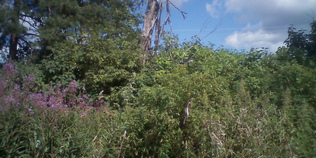 Как оспорить кадастровую стоимость участка