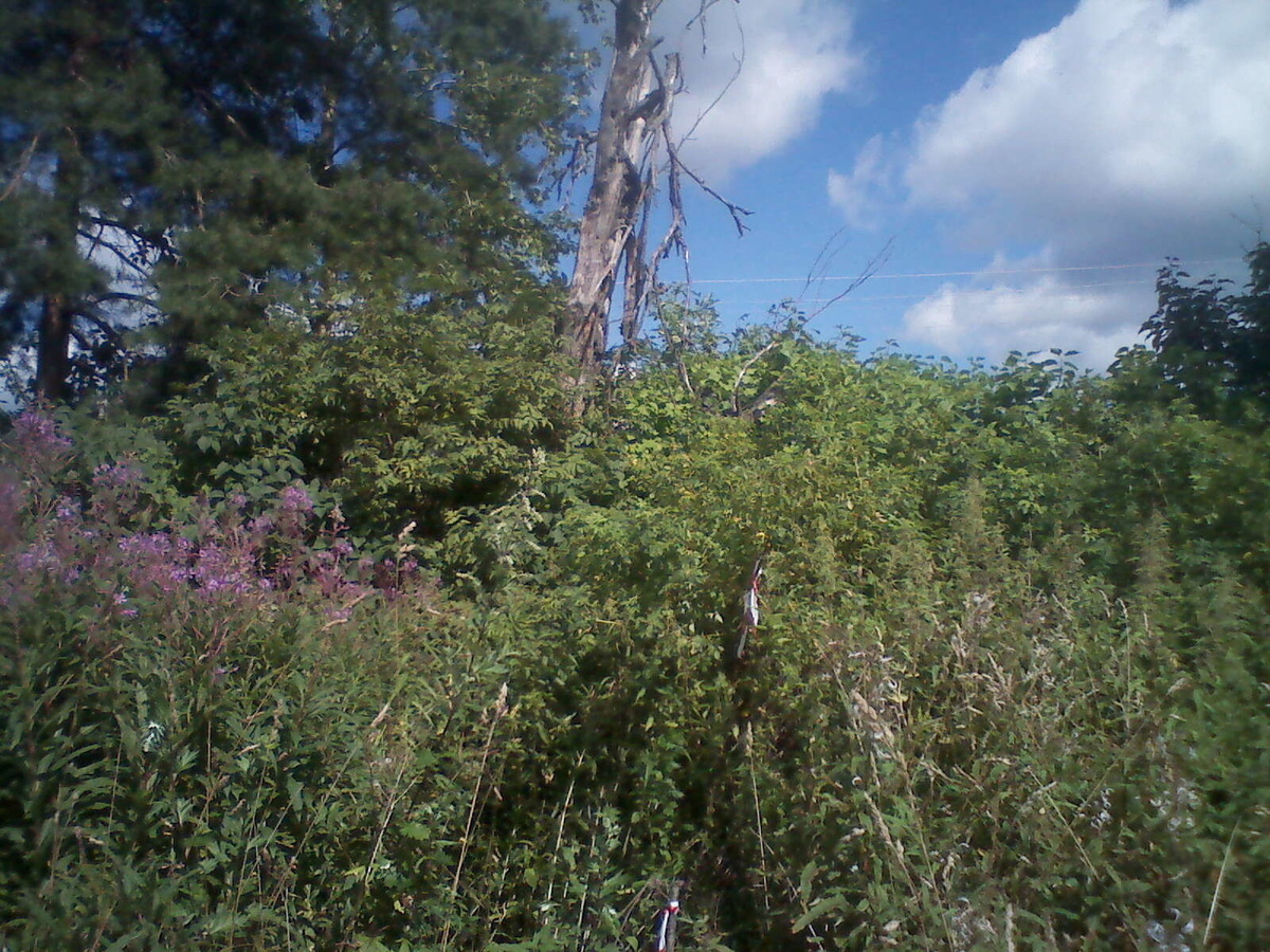 Как оспорить кадастровую стоимость участка