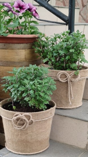 Технические садовые горшки обклеены мешковиной. Использую уже три года. Немного выцвели но в целом в достойном виде.