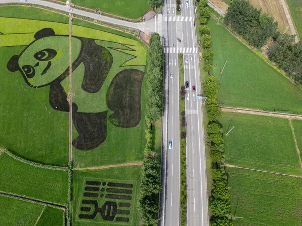 © Getty Images / China News Service/VCG/Zhang Lang