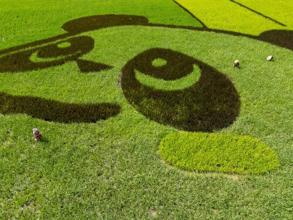 © Getty Images / China News Service/VCG/Zhang Lang