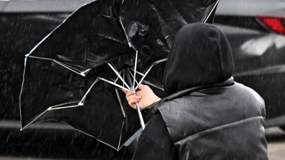 Фото: Анатолий Жданов / Коммерсантъ