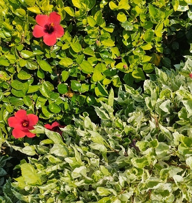 Фотография из личного архива автора